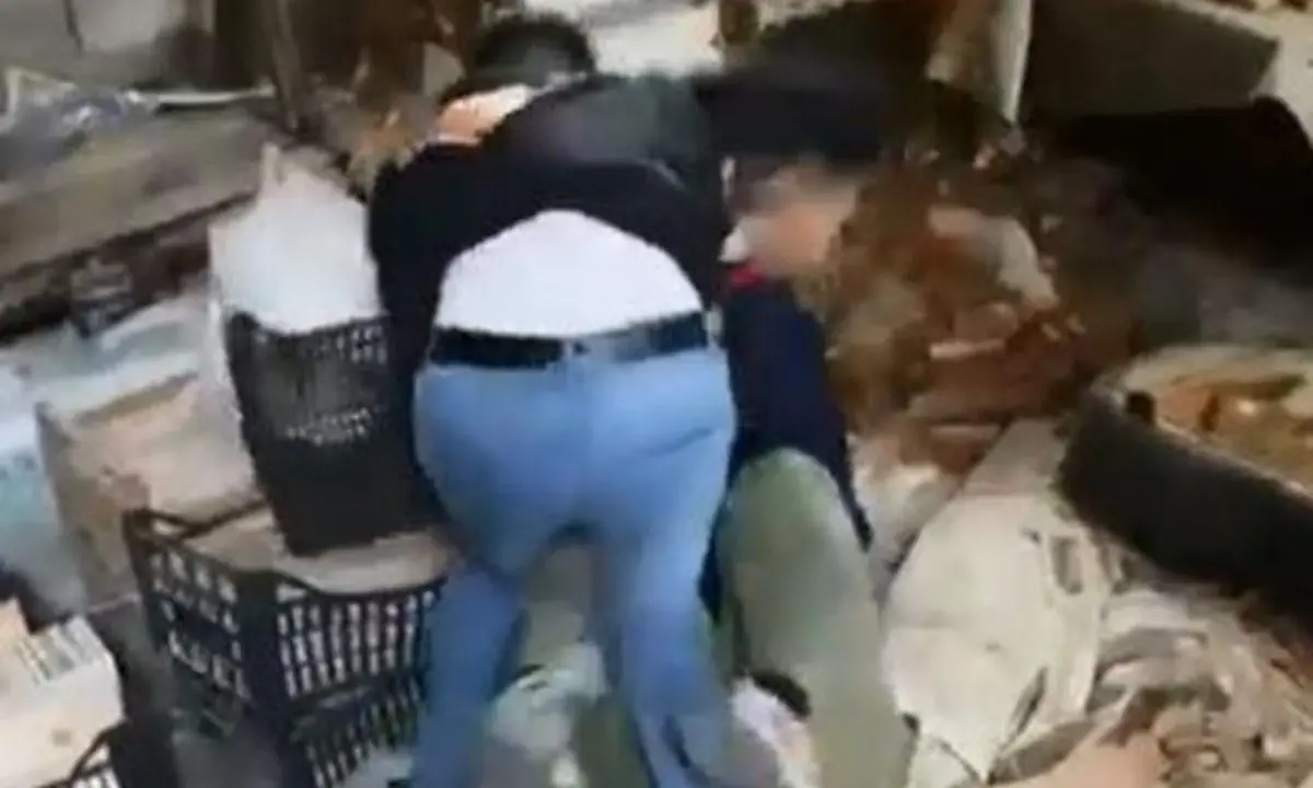 Pestaggio a Crotone, il padre dell’aggressore è un pugile: «Condanno mio figlio»