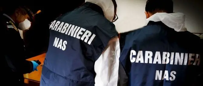 Traffico di sostanze dopanti, arresti e denunce in tutta Italia: coinvolto anche il Reggino