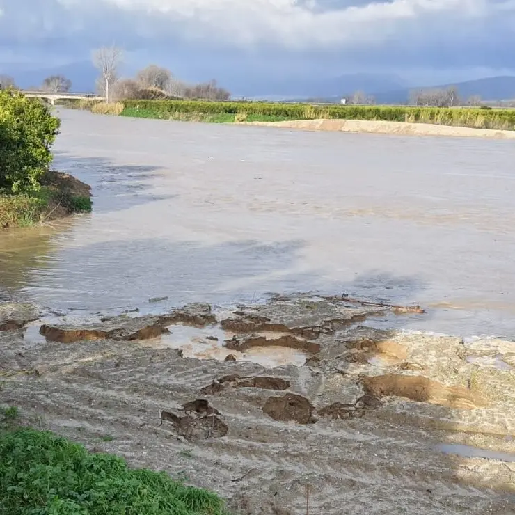 Sibaritide, il Crati osservato speciale: paura per una nuova esondazione