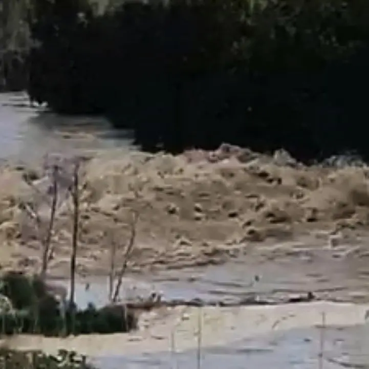 Corigliano-Rossano, il Crati esonda e fa paura: agrumeti sott'acqua e aziende a rischio