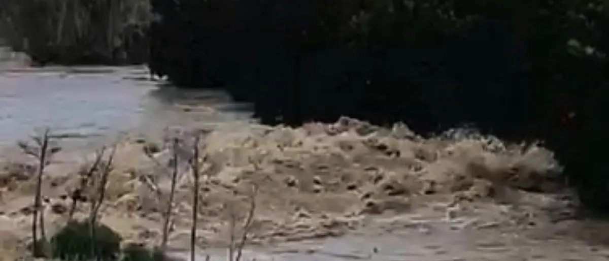 Corigliano-Rossano, il Crati esonda e fa paura: agrumeti sott'acqua e aziende a rischio