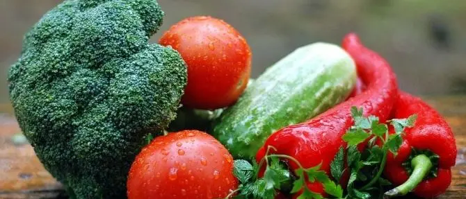 Lamezia, presentata la prima fiera virtuale dell’agricoltura