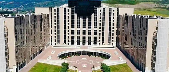 Regione: costituita la Consulta calabresi nel mondo