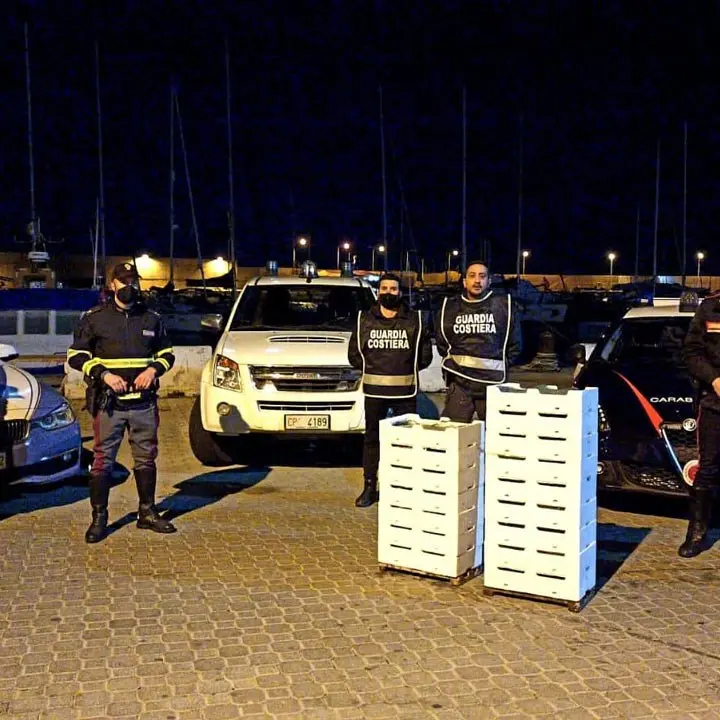 Cirò Marina, sequestrati 460 kg di novellame di sarda: sanzionato 36enne