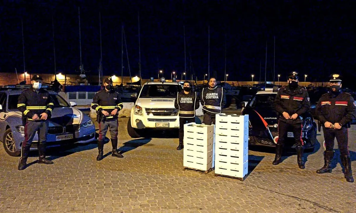 Cirò Marina, sequestrati 460 kg di novellame di sarda: sanzionato 36enne