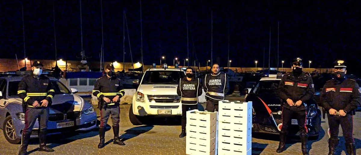 Cirò Marina, sequestrati 460 kg di novellame di sarda: sanzionato 36enne
