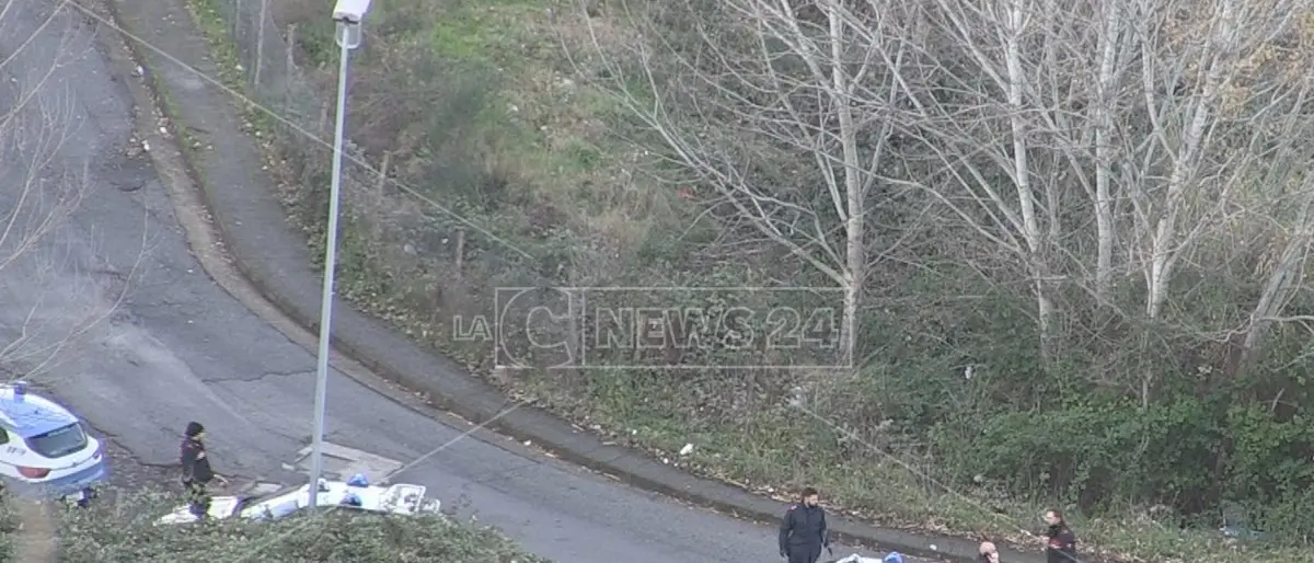 Furto con spaccata a Cosenza: recuperata buona parte delle armi rubate