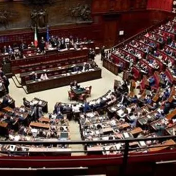 Di cosa parliamo quando parliamo di gruppi parlamentari