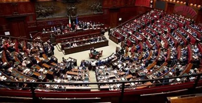 Di cosa parliamo quando parliamo di gruppi parlamentari