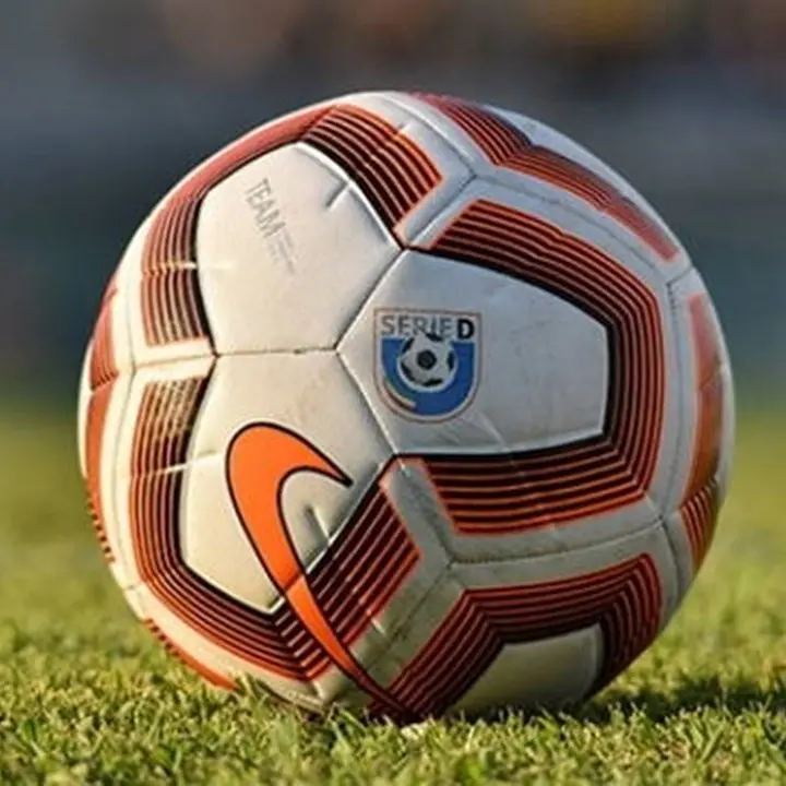 Serie D, il Rende vince a Licata. Cade il San Luca