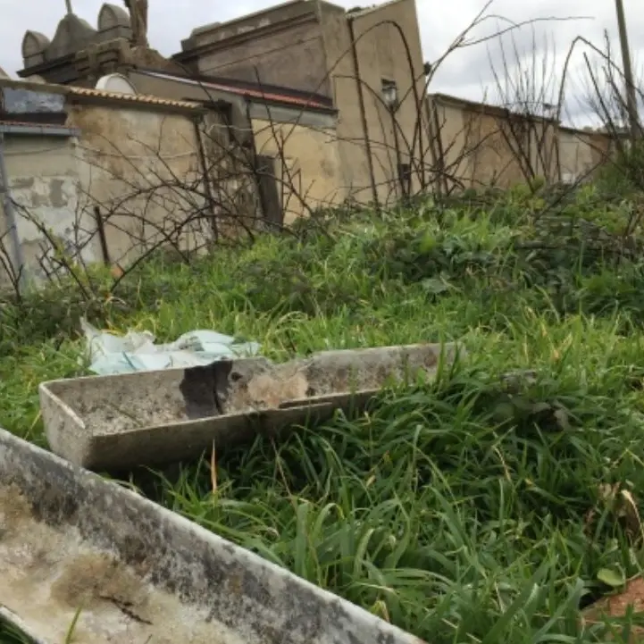 Degrado a Vibo Valentia, ragazzi raccolgono i rifiuti: «La nostra città deturpata»