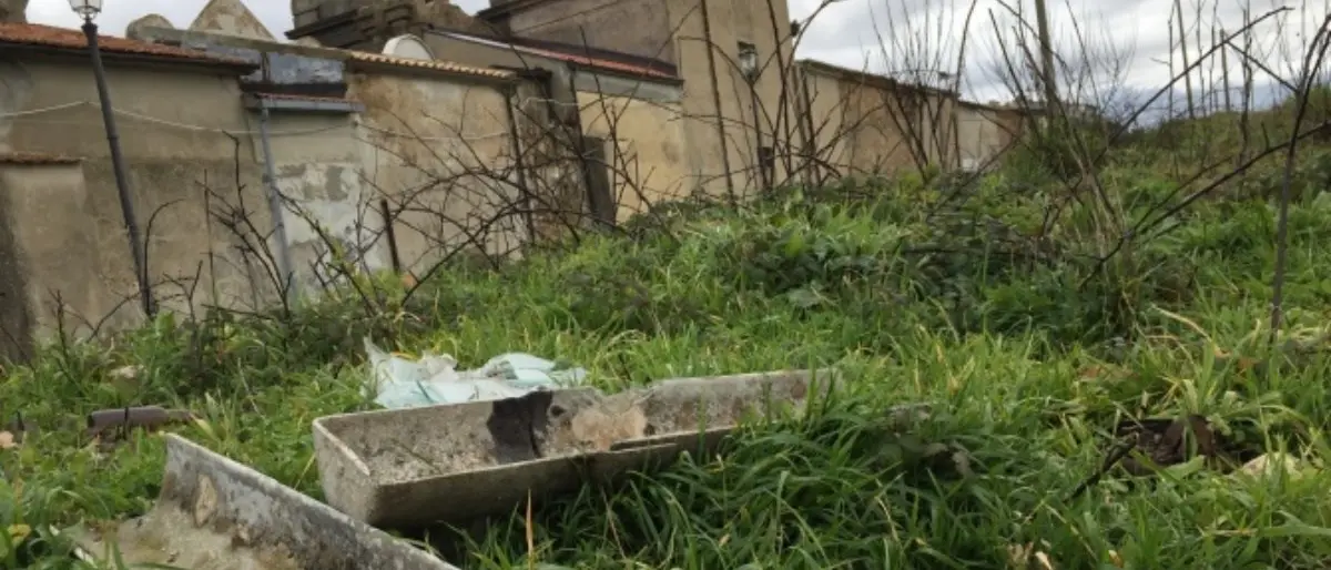 Degrado a Vibo Valentia, ragazzi raccolgono i rifiuti: «La nostra città deturpata»