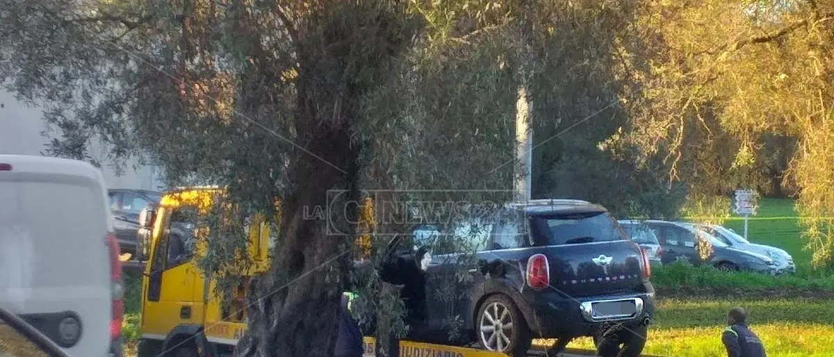 Incidente mortale a Gioia Tauro, perde il controllo dell’auto e finisce in un terreno