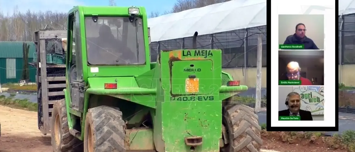 Agricoltura, chiude con la premiazione la prima Fiera virtuale calabrese
