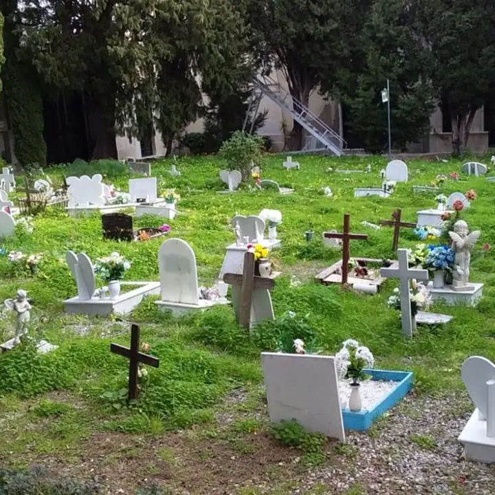 Cimiteri Crotone, i consiglieri chiedono al sindaco di intervenire: «Troppi disservizi»