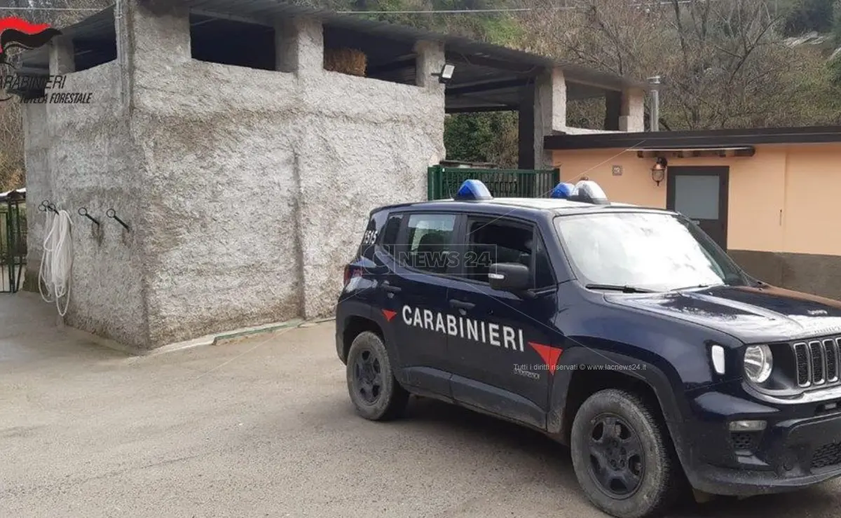 Corigliano-Rossano: fabbricato abusivo su area comunale, denunciato il responsabile