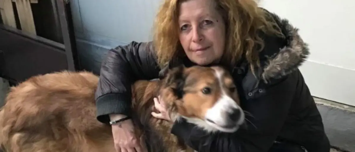 Incidente sull’A14: due morti. Schianto tra tir e un furgone che trasportava cani e gatti