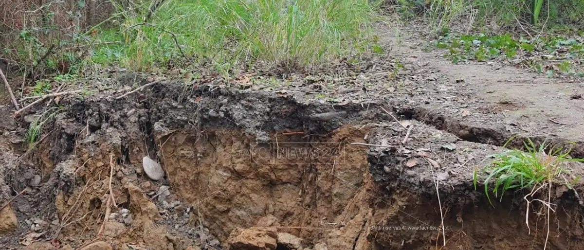 Sibaritide, nuova voragine sulle sponde del Crati: l’allarme dei residenti