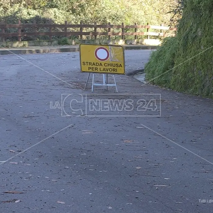 Strade colabrodo nel Reggino, il comitato “Ci siamo rotti” in marcia: «Basta buche»