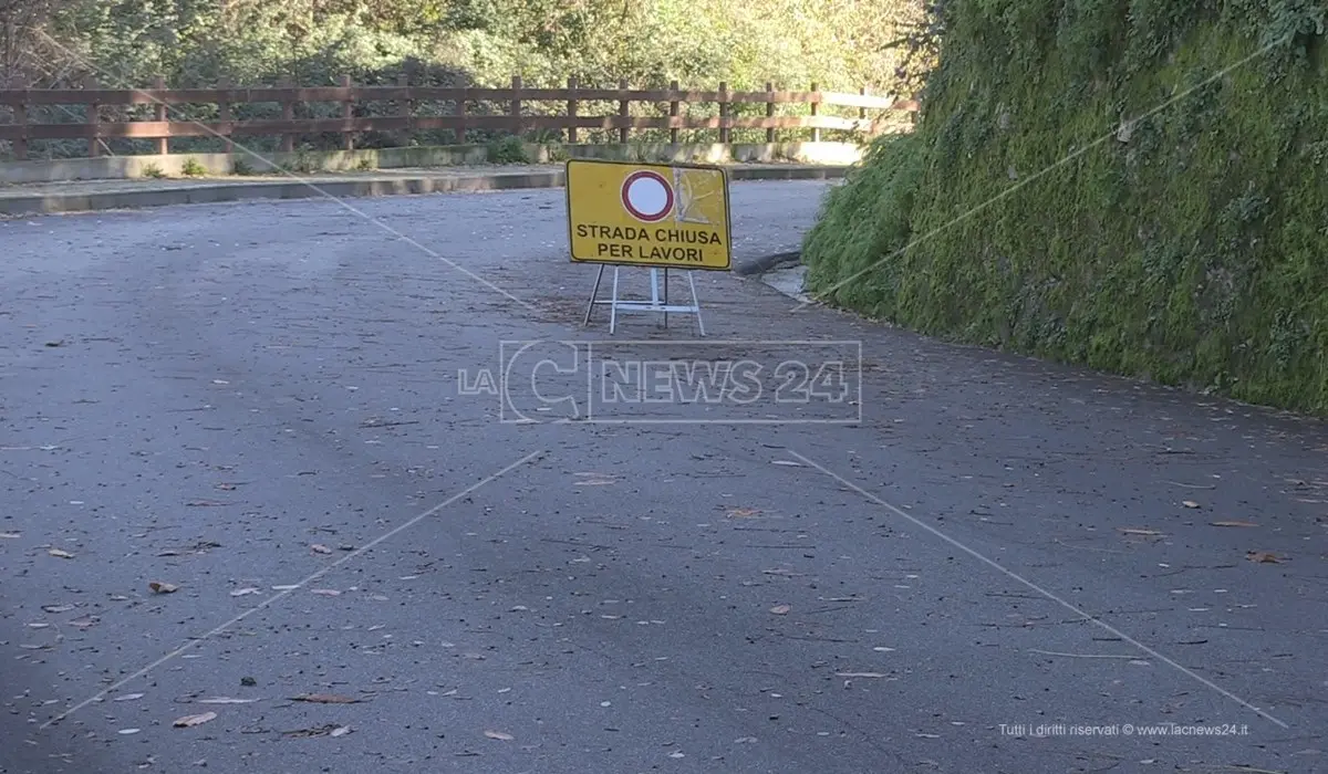 Strade colabrodo nel Reggino, il comitato “Ci siamo rotti” in marcia: «Basta buche»