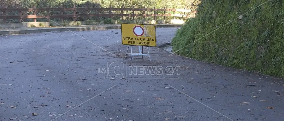 Strade colabrodo nel Reggino, il comitato “Ci siamo rotti” in marcia: «Basta buche»