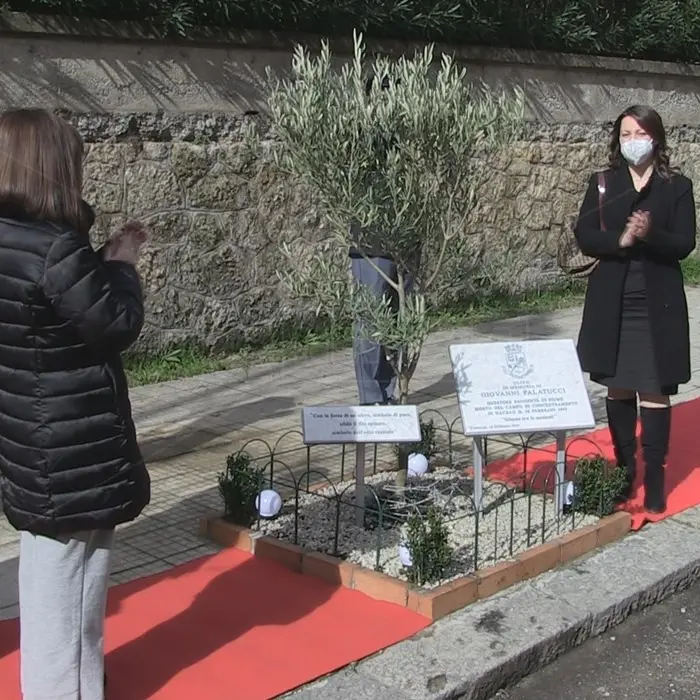 Salvò centinaia di ebrei, a Cosenza un ulivo per Giovanni Palatucci