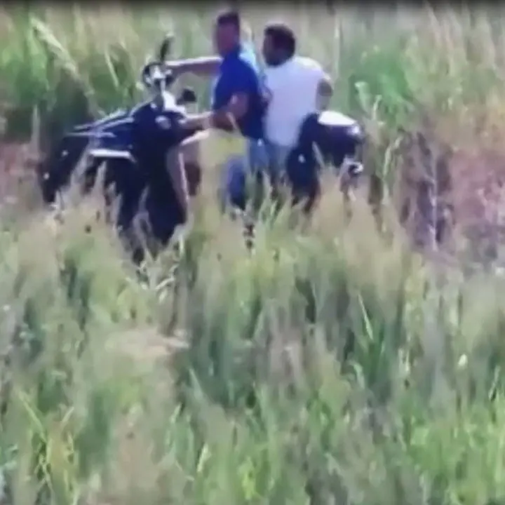 Arresti nel crotonese: le nuove leve, il traffico di droga e gli arsenali nascosti tra gli ulivi