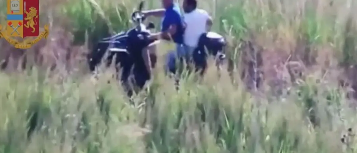 Arresti nel crotonese: le nuove leve, il traffico di droga e gli arsenali nascosti tra gli ulivi