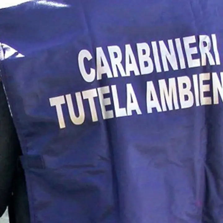 Rifiuti, sequestrato centro stoccaggio nel Crotonese: il Noe denuncia il proprietario