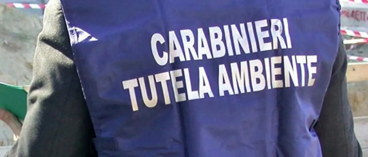 Rifiuti, sequestrato centro stoccaggio nel Crotonese: il Noe denuncia il proprietario