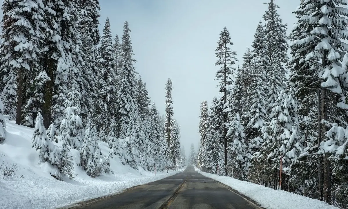 Maltempo, ondata di gelo su tutta la Calabria: nevicate e forti temporali nel fine settimana