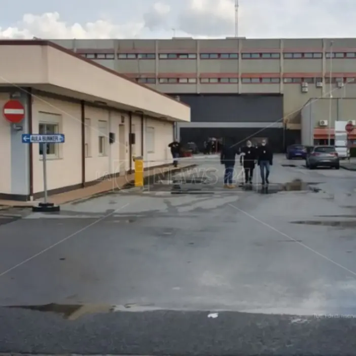 Rinascita-Scott, Figliuzzi racconta la scia di omicidi e il “battesimo” di 'ndrangheta con le forbici Chicco