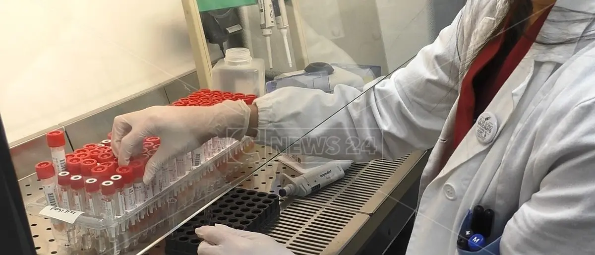 Coronavirus, 44 nuovi contagi a Vibo Valentia e 7 a Catanzaro