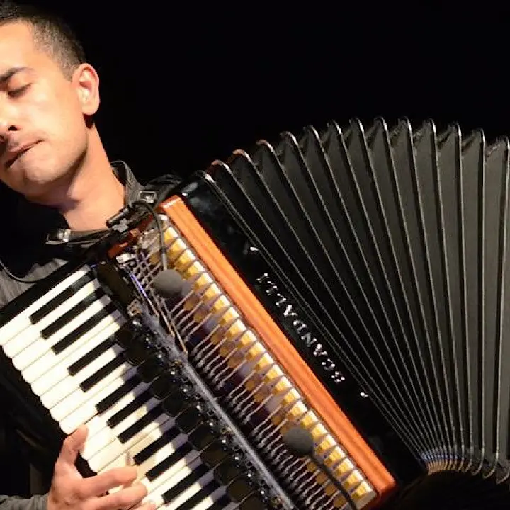 Premio internazionale della fisarmonica, è di Cetraro il nuovo direttore artistico