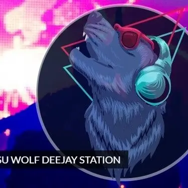 Wolf Dj, il successo del progetto tutto calabrese nel mondo delle Web radio