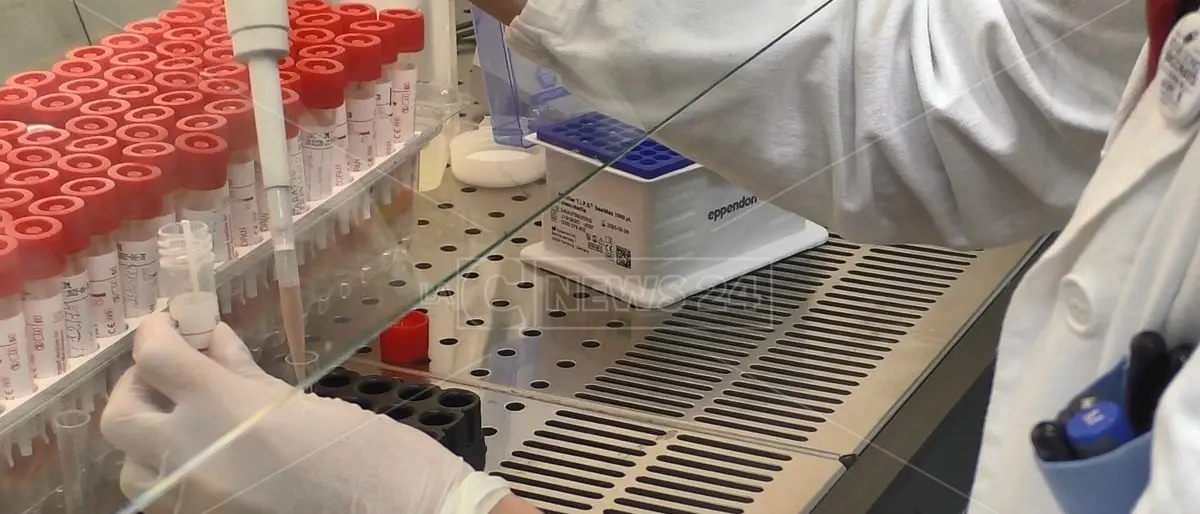 Coronavirus, 58 nuovi contagi tra Catanzaro e Vibo Valentia