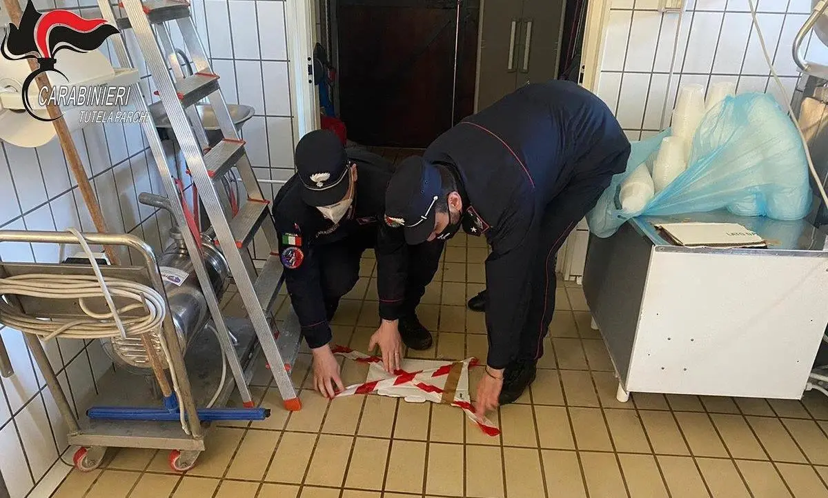 Morano: scaricavano i liquami del caseificio in un canale, scatta il sequestro