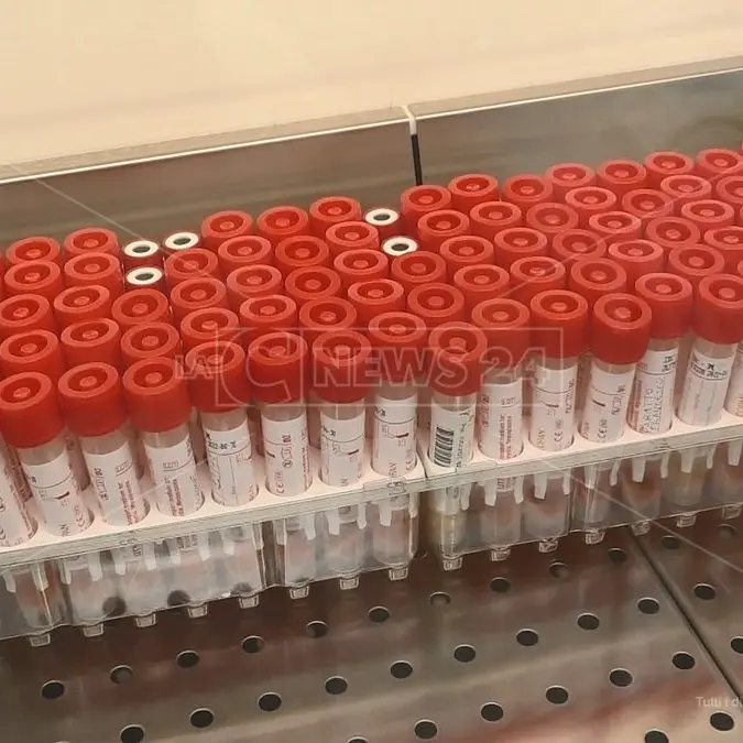 Coronavirus, 49 nuovi contagi tra Vibo Valentia e Catanzaro