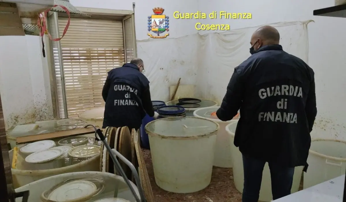 Scoperta a Cosenza una fabbrica abusiva di alcolici: sequestrate 400 botti di grappa