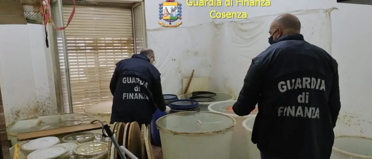 Scoperta a Cosenza una fabbrica abusiva di alcolici: sequestrate 400 botti di grappa