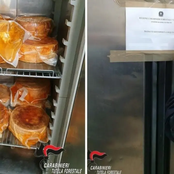 Sequestrati 120 chili di formaggi senza etichetta nel Vibonese, multa da 1500 euro