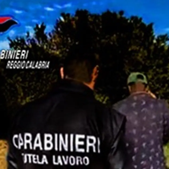 Caporalato, denunce e multe per due imprenditori della Piana di Gioia Tauro