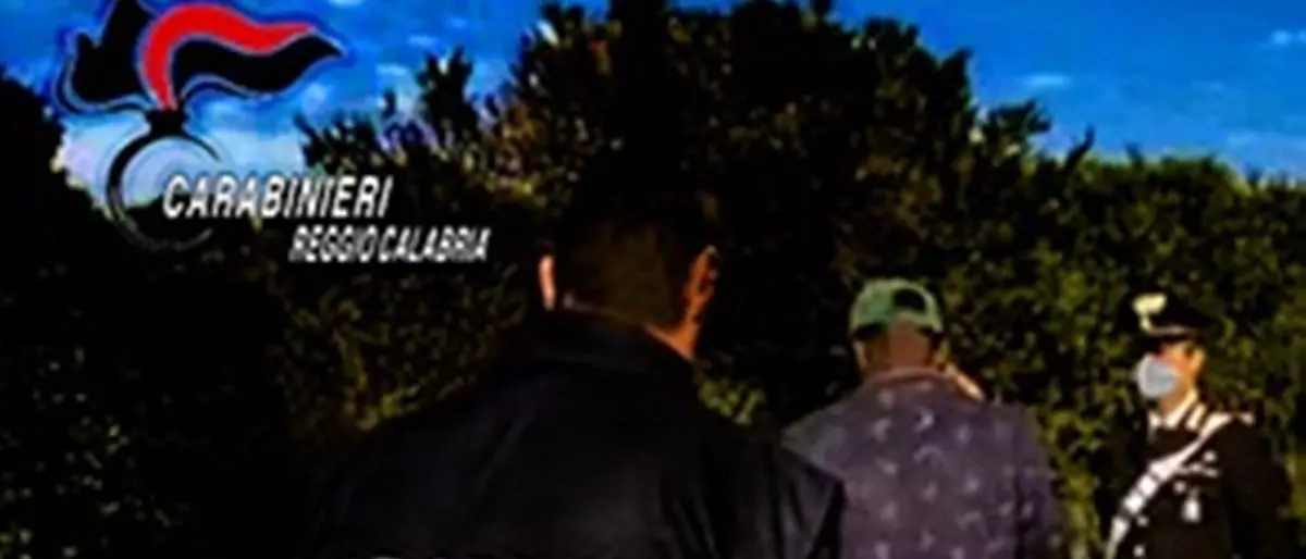 Caporalato, denunce e multe per due imprenditori della Piana di Gioia Tauro