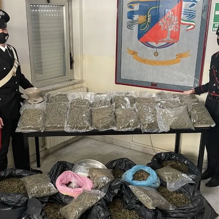Lamezia Terme, rinvenuti 54 chili di marijuana in una casa: arrestati 2 coniugi