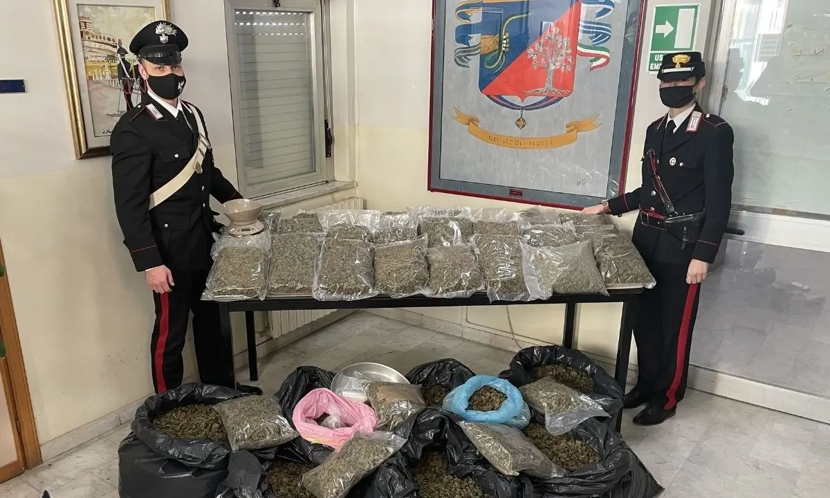 Lamezia Terme, rinvenuti 54 chili di marijuana in una casa: arrestati 2 coniugi