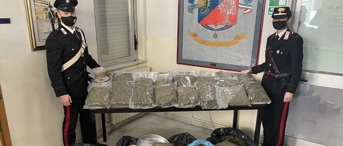 Lamezia Terme, rinvenuti 54 chili di marijuana in una casa: arrestati 2 coniugi