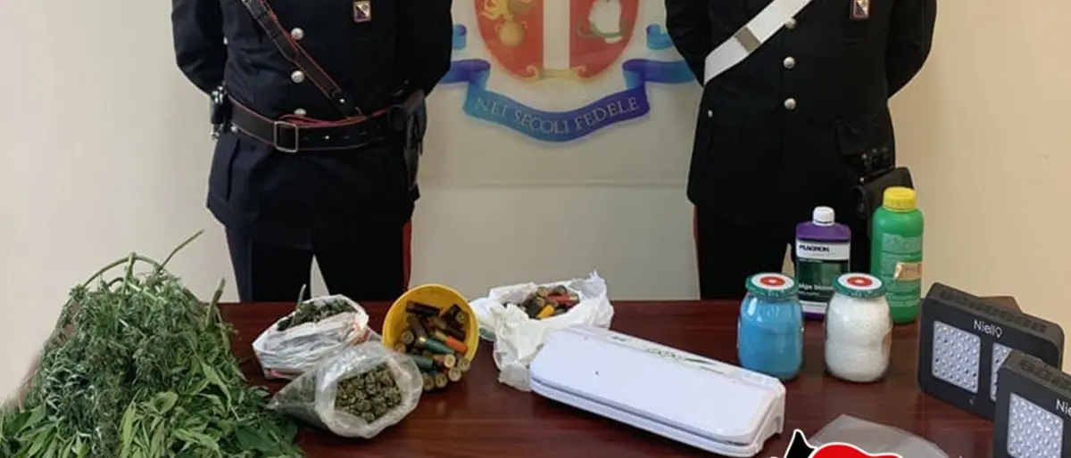 Gioiosa Jonica, produceva marijuana in casa: arrestato 25enne