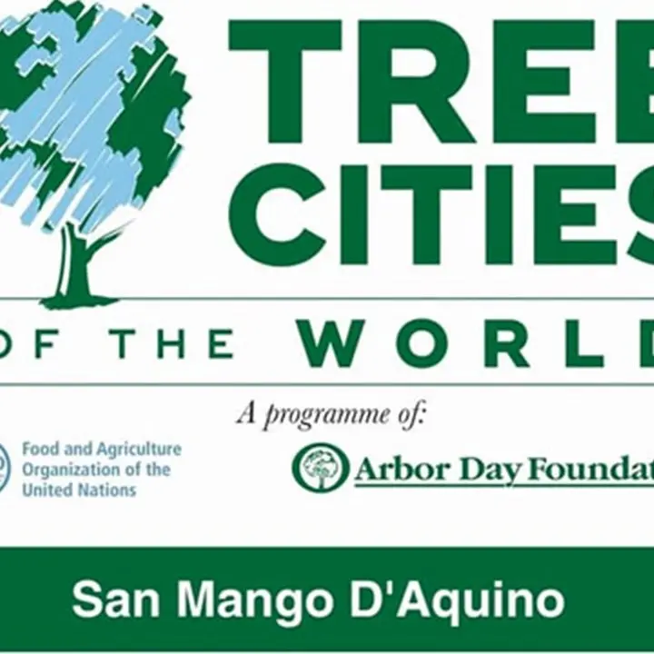 San Mango “città degli alberi” per il 2020: sono solo sette in tutta Italia