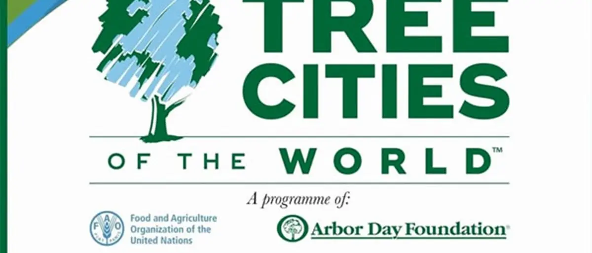 San Mango “città degli alberi” per il 2020: sono solo sette in tutta Italia