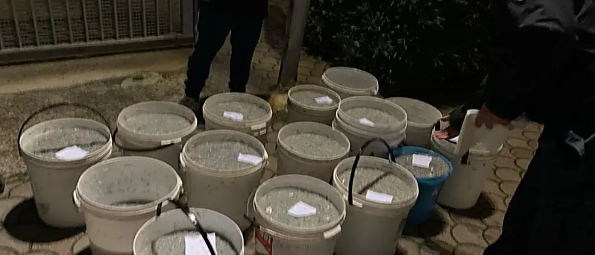 Pesca, 7 tonnellate di novellame sequestrate e 200mila euro di multe